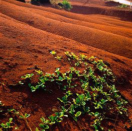 《索拉斯塔：法师之冠》DLC“遗忘山谷”现已上市